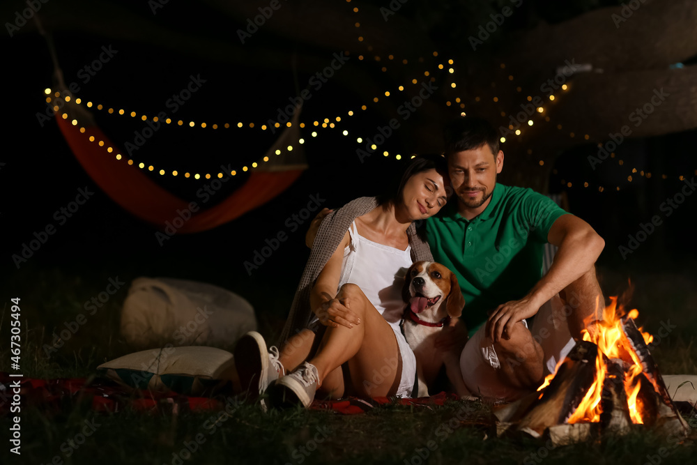 夏天晚上，一对幸福的夫妇和狗在火旁