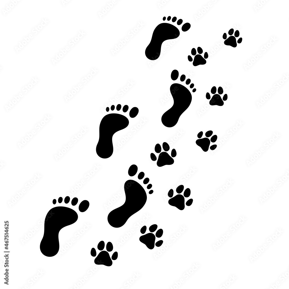 爱狗人士。爪印。狗爪。动物爱情符号爪印。矢量插图。白色隔离