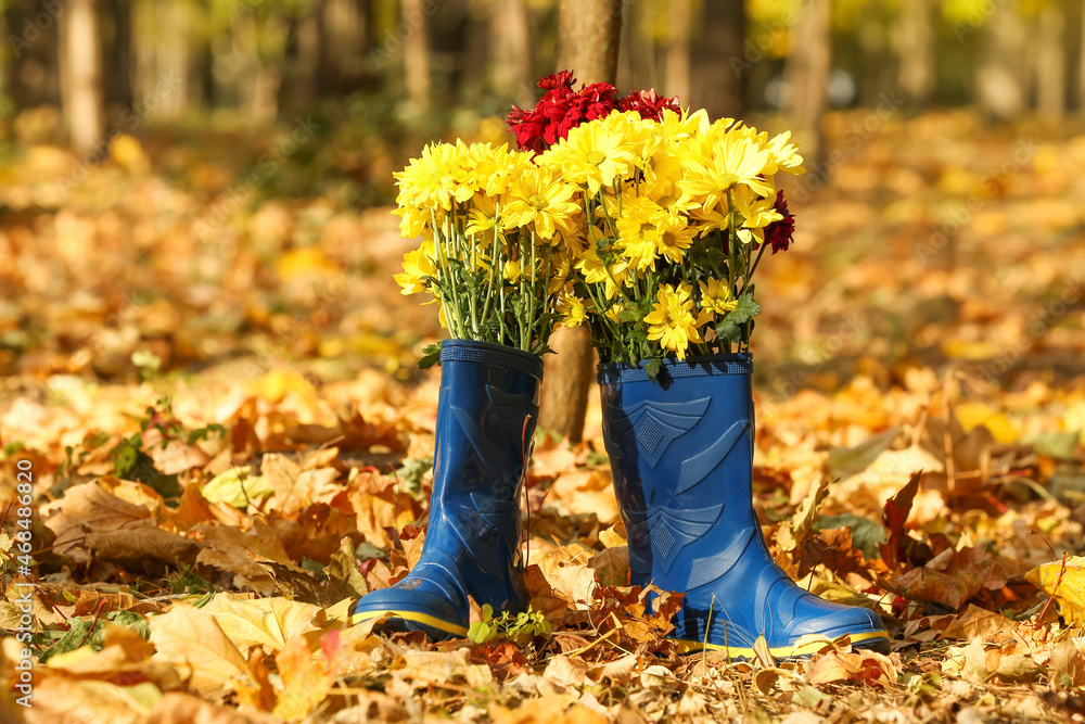 秋天公园里一双带花的橡胶靴