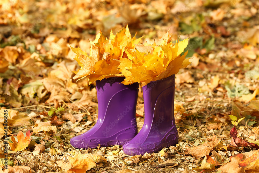 秋天公园里的一双带树叶的橡胶靴