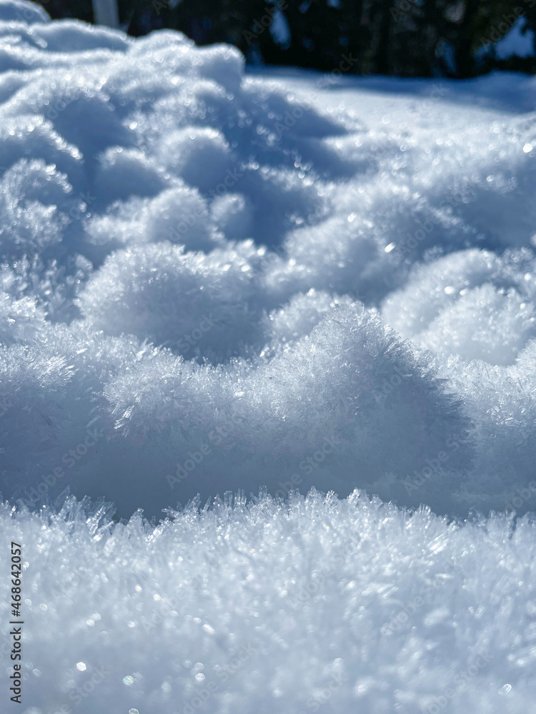 垂直，MACRO：白霜在冬季阳光下闪闪发光的详细照片。