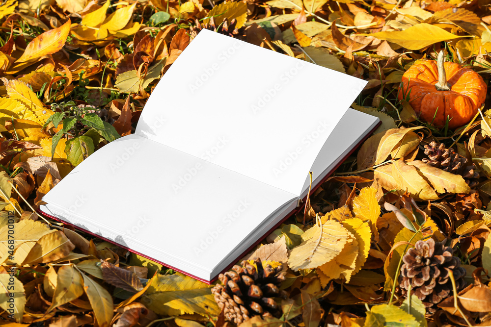 打开的书上有空白页、秋叶、松果和公园里的南瓜