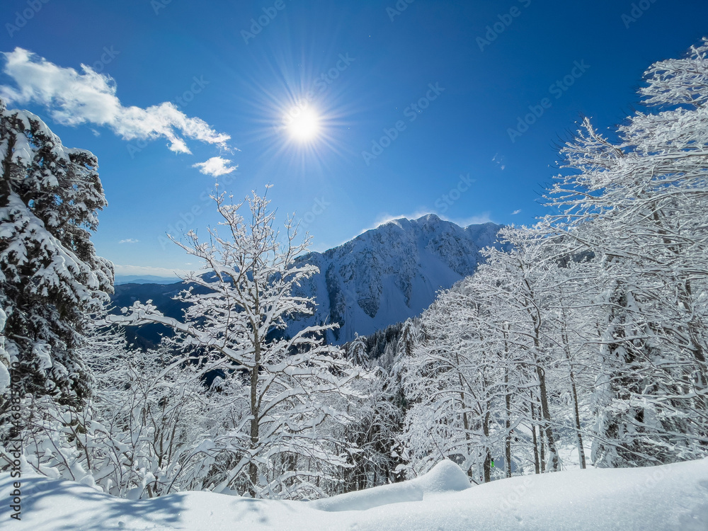 镜头闪耀明亮的冬日阳光照耀着斯洛文尼亚的雪山景观。