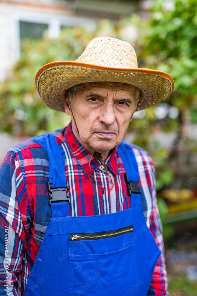 穿着蓝色衣服，花园里戴着草帽的老农民。果园里的老人。远方的肖像