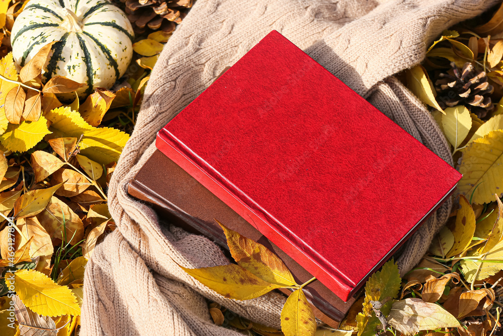 秋天公园里的书、南瓜和针织围巾