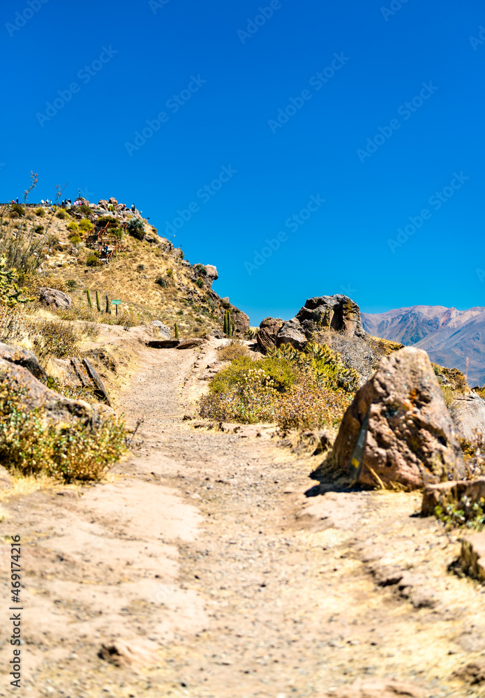 Hiking trail at the Colca Canyon in Peru, one of the deepest canyons in the world
