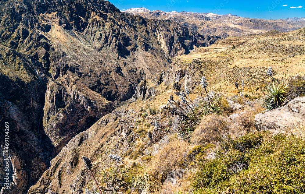 秘鲁科尔卡峡谷风景，世界上最深的峡谷之一