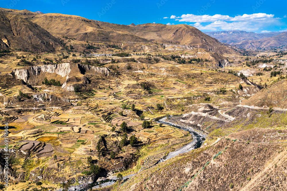 秘鲁阿雷基帕地区科尔卡峡谷内的梯田