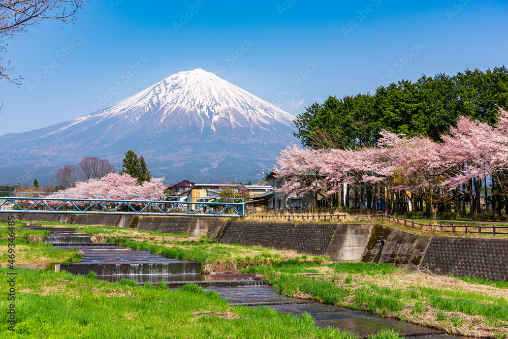 春天从静冈县农村看富士山