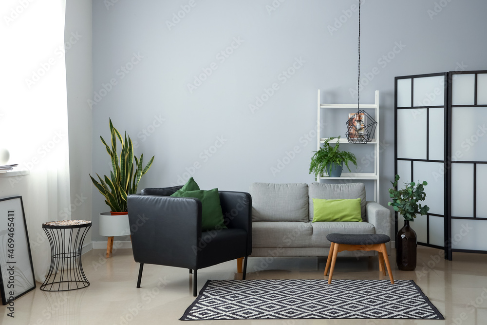 带扶手椅、沙发和室内植物的现代客厅内部