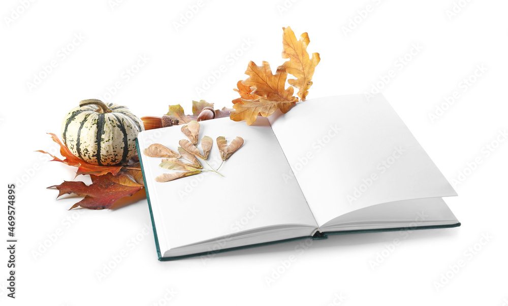 空白书、秋叶和白底南瓜