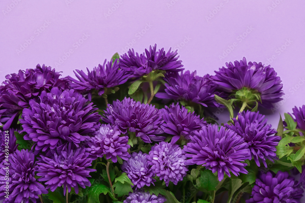 淡紫色背景下的许多紫荆花，特写