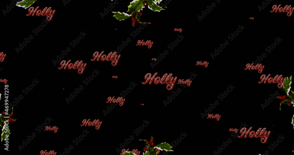 圣诞节冬青树文本和黑色背景花环的重复图像