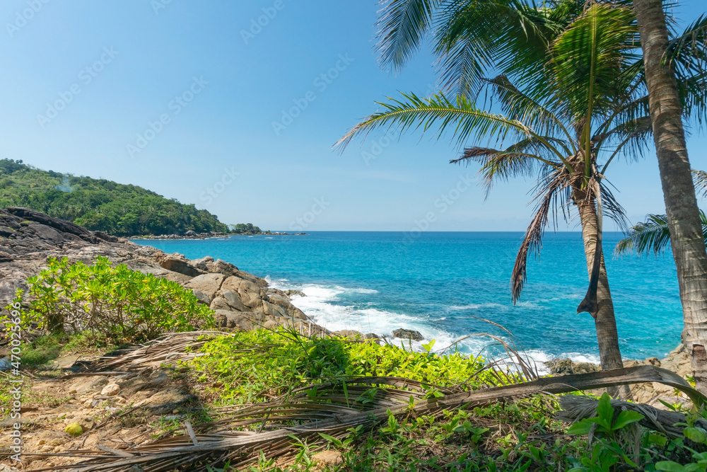 椰子树的叶子与夏天的海岸融为一体令人惊叹的大海清澈的蓝天白云Wav