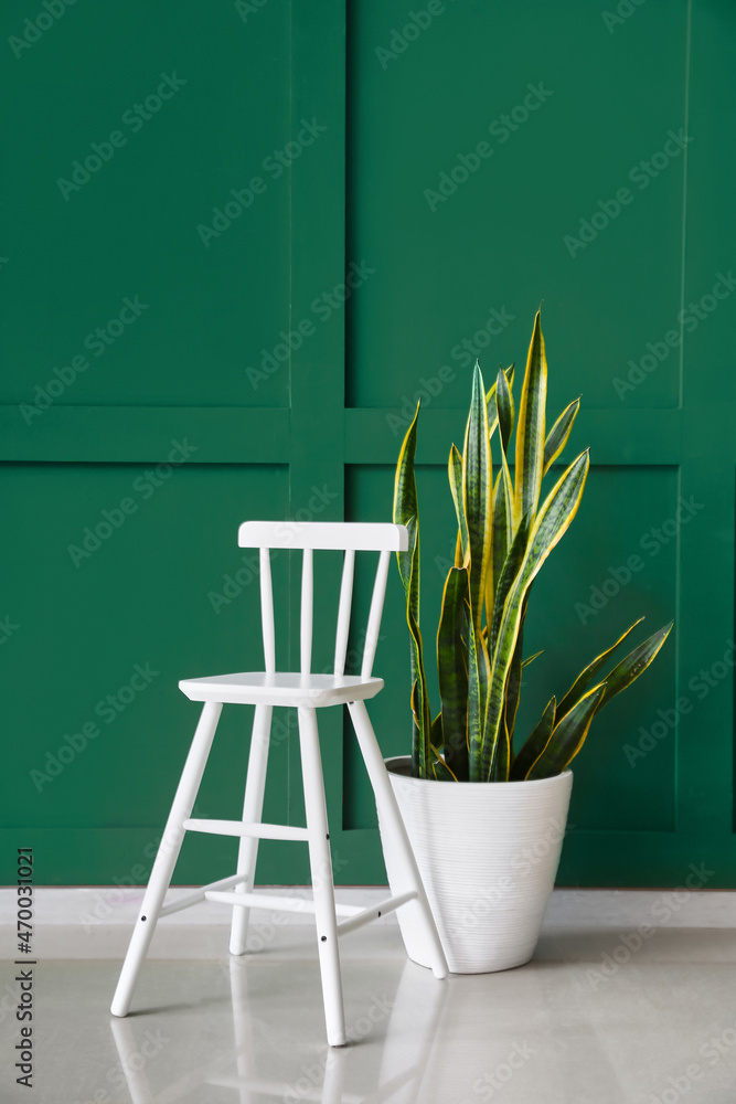 绿色墙壁附近的椅子和室内植物