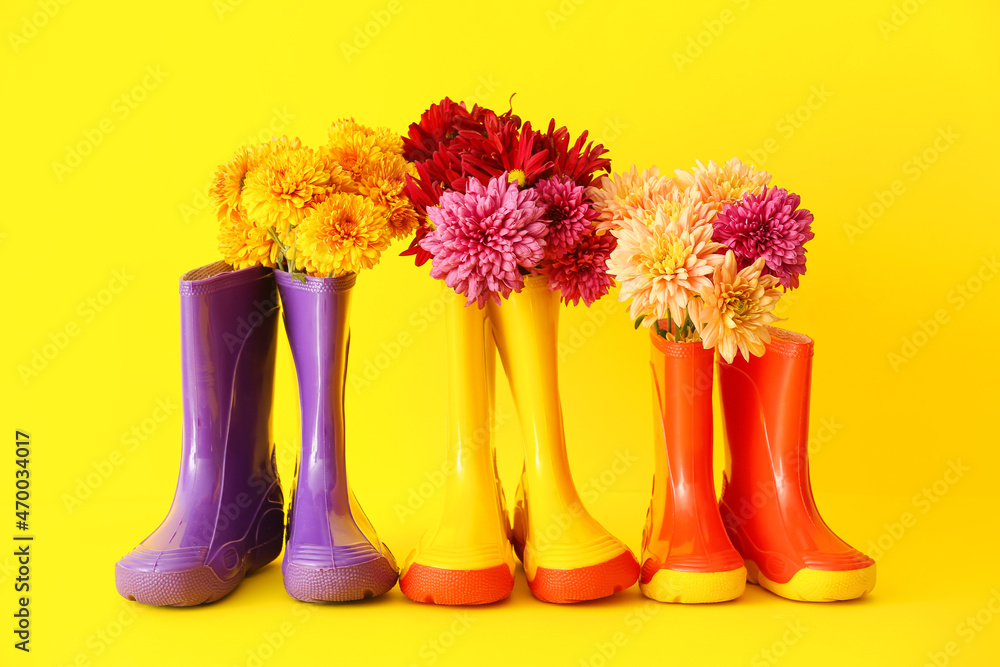 不同的橡胶靴和黄色背景上的菊花