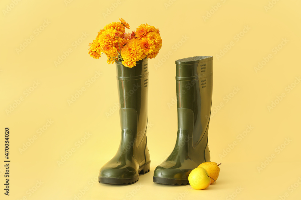 彩色背景上的橡胶靴、花朵和水果