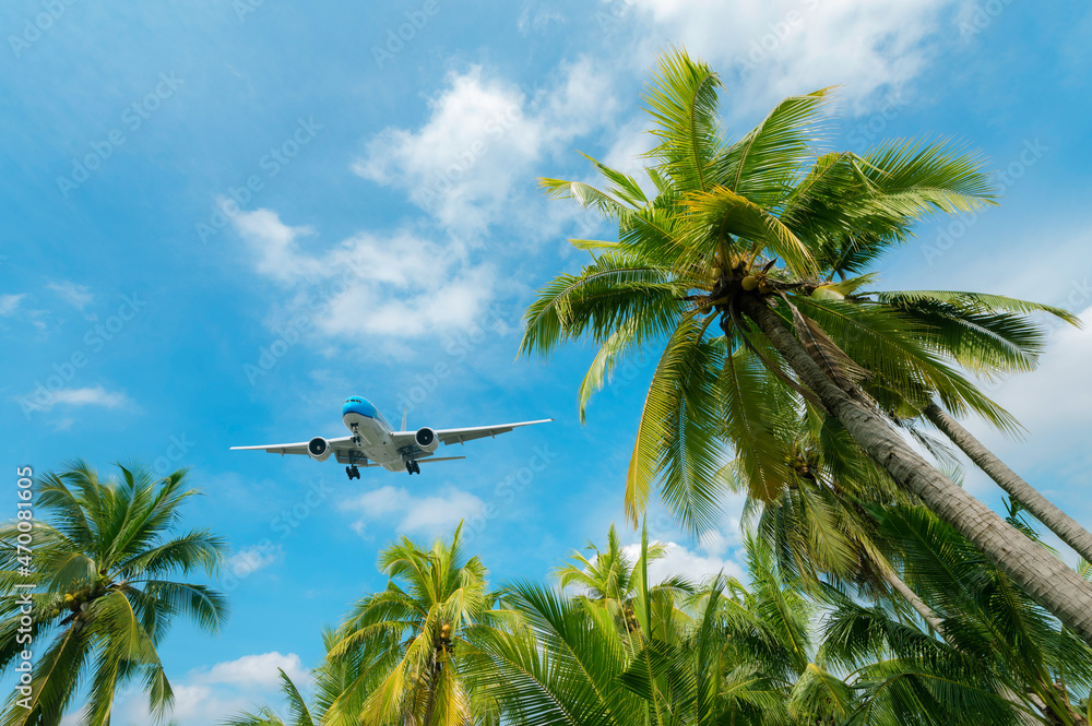 飞机飞越热带棕榈树。晴朗的蓝天度假时间。