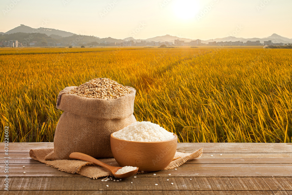 稻田日落前，麻袋里的谷物和木桌上的一碗米饭。
