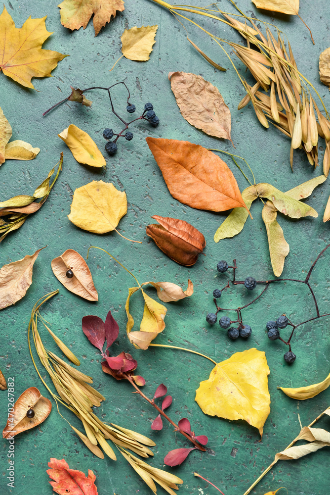 彩色背景上有干燥叶子的秋季构图