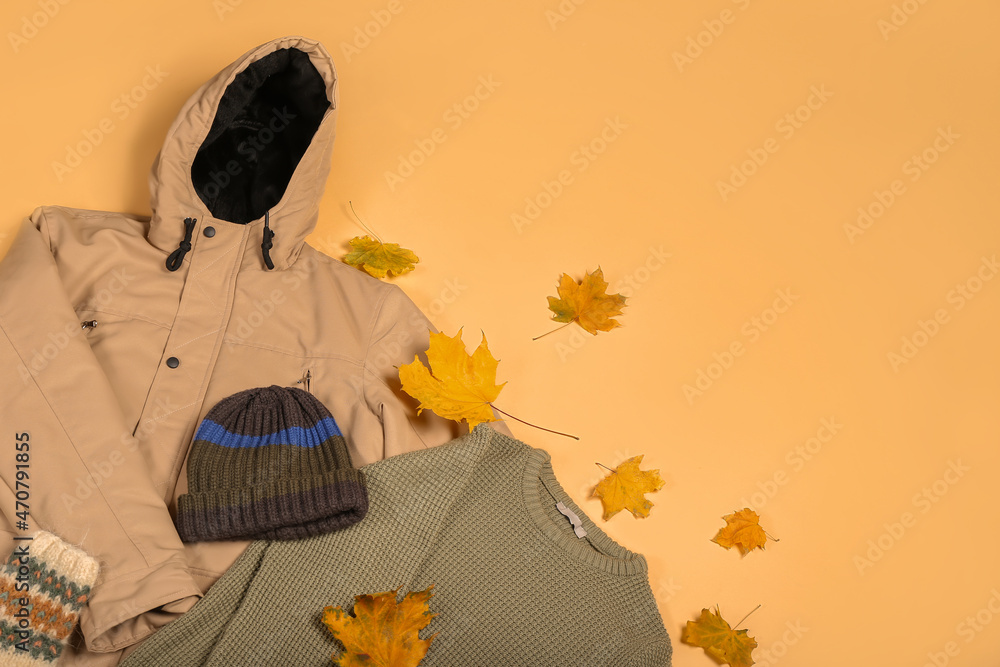 时尚男士夹克、毛衣、帽子和彩色背景秋叶