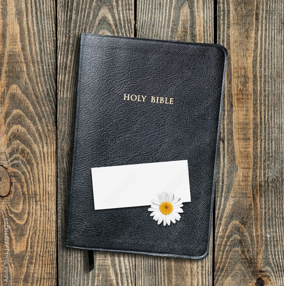 空白纸，圣经启示录。恩典、怜悯、救赎、宽恕。基督教圣经总结