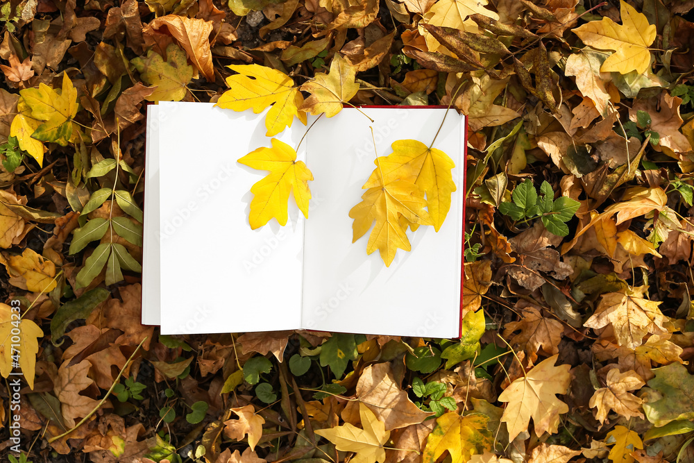 秋天公园里，书页空白、树叶金黄的书打开了