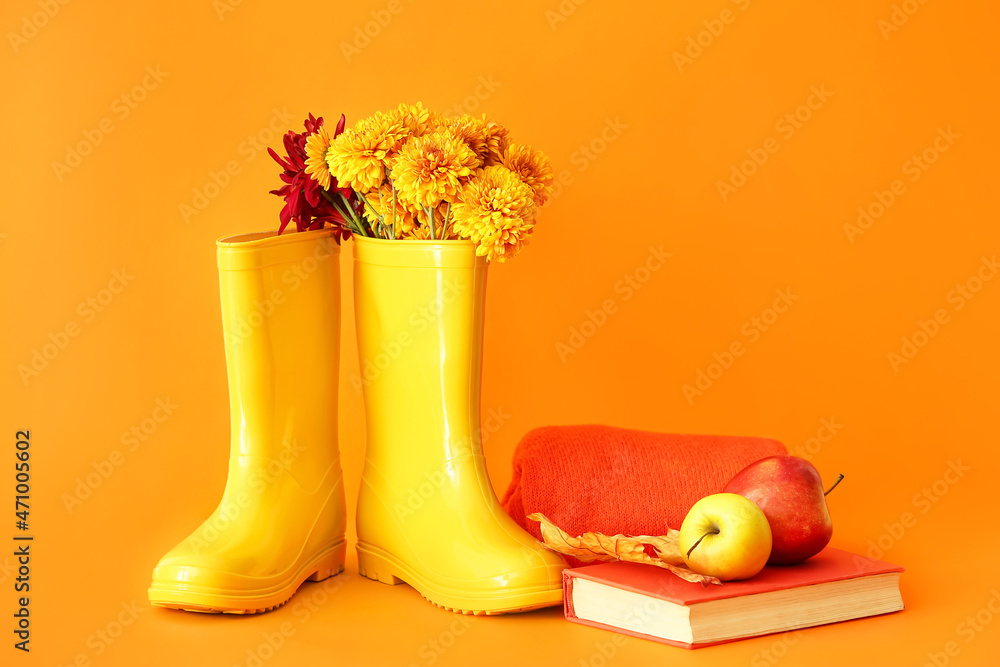 彩色背景上的橡胶靴、鲜花、书籍和苹果