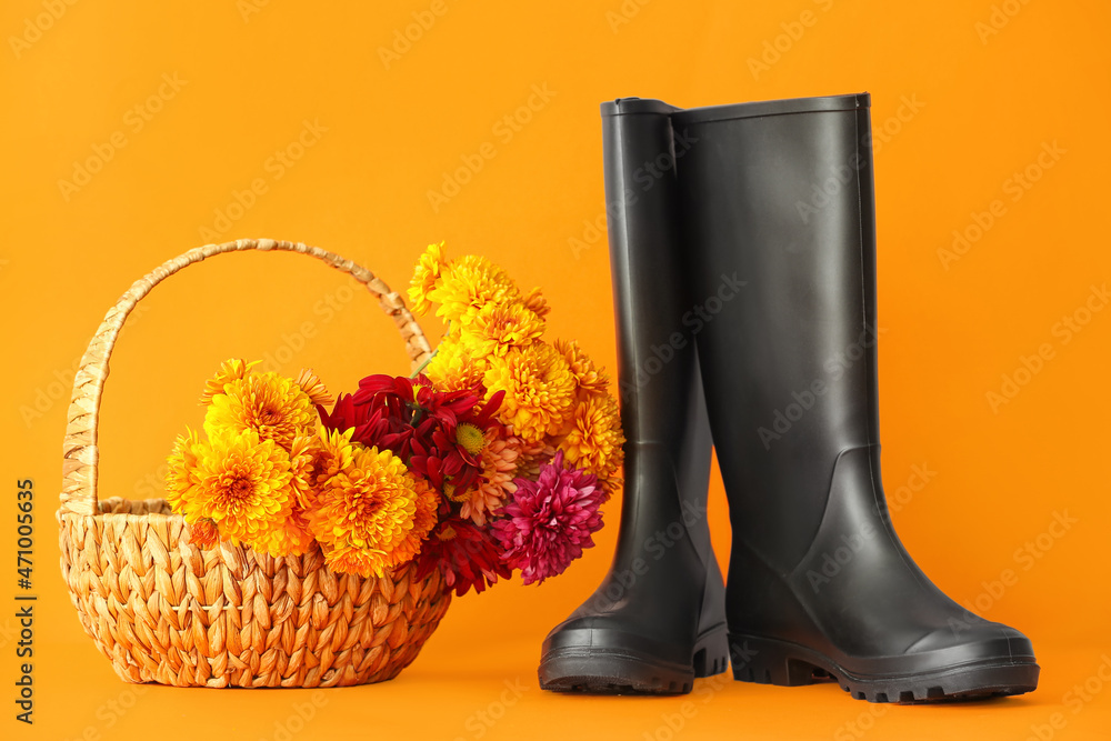 Pair of rubber boots and basket with flowers on color background