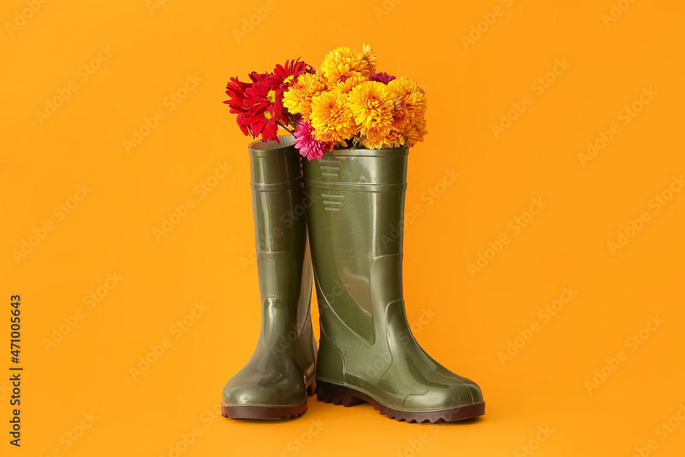 一双橡胶靴和彩色背景上美丽的秋花