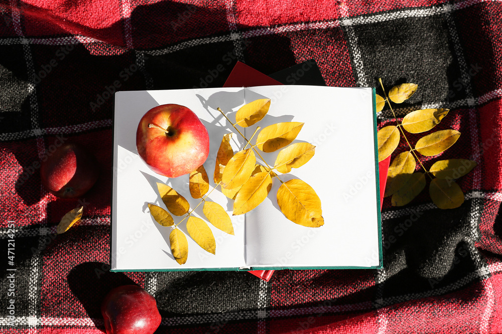 打开书本，格子上的苹果和秋叶