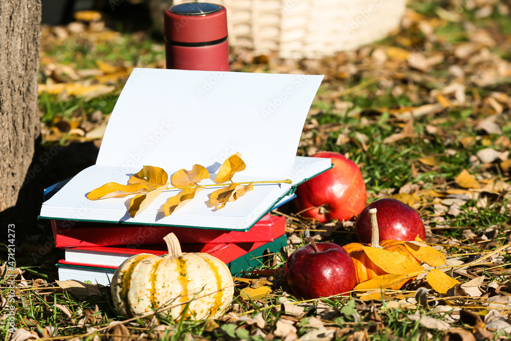 秋天公园里的一叠书、南瓜、苹果和保温瓶