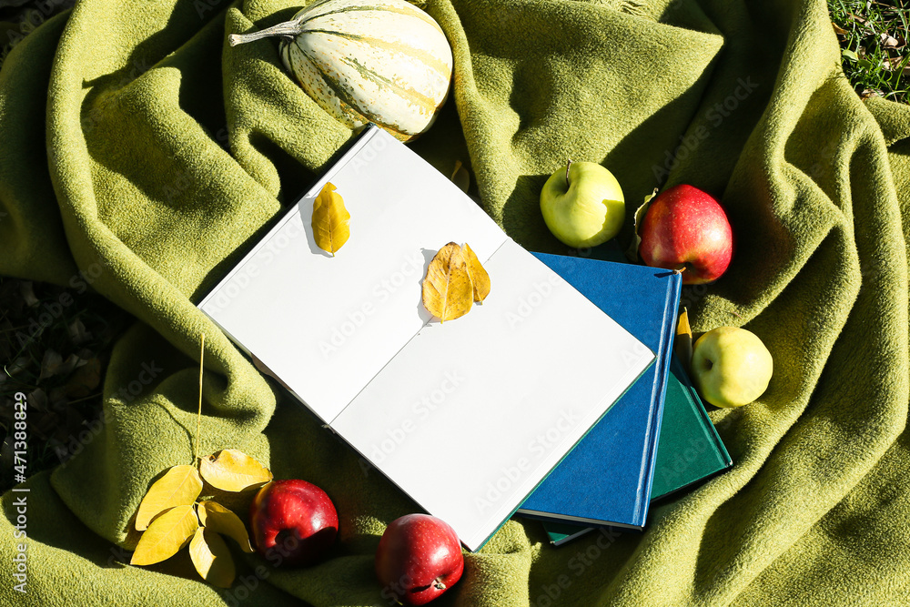 打开的书上有空白页，苹果，南瓜和秋天的叶子在格子上