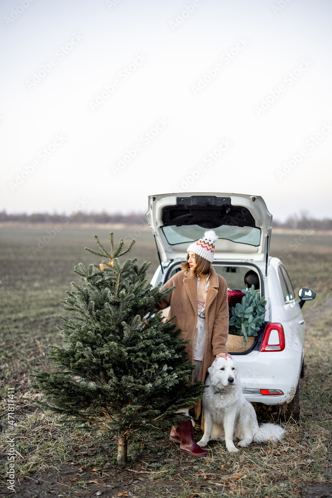 一位年轻的女士，带着美丽郁郁葱葱的圣诞树，她的狗站在装满礼品盒的汽车附近。