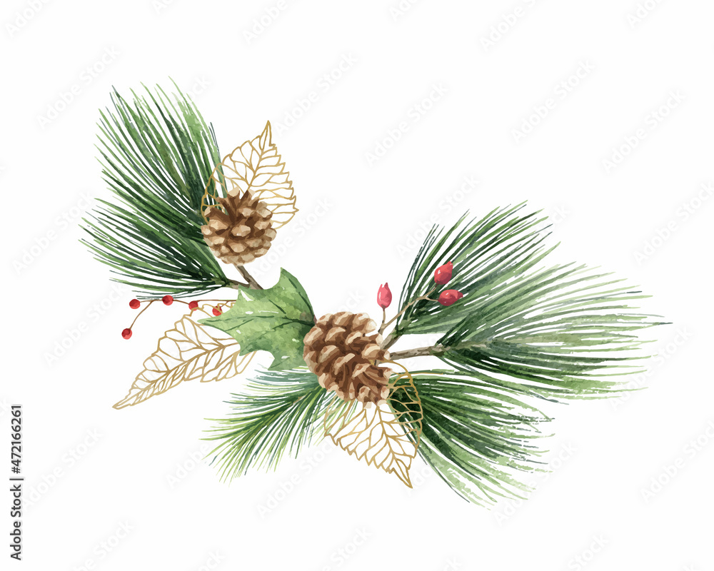 水彩矢量圣诞花环，有冷杉树枝、树叶和圆锥体。