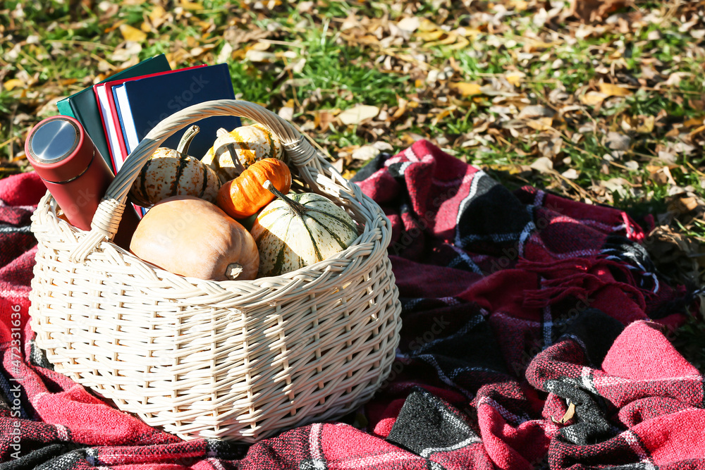秋季公园的野餐篮，格子上有南瓜、书籍和保温瓶