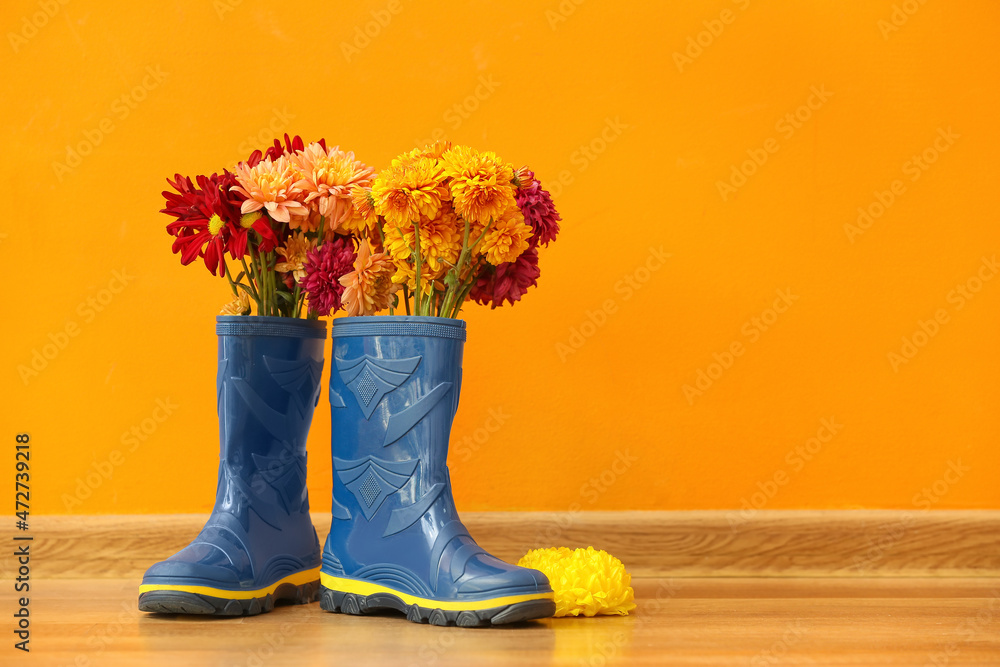 橡胶靴和美丽的菊花贴在彩色墙上