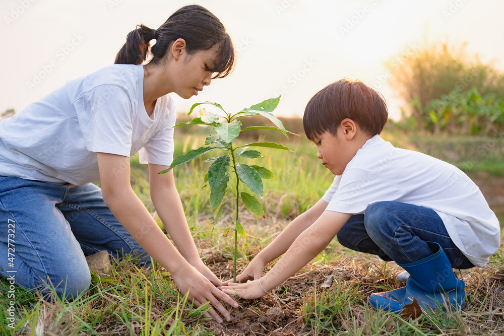 儿童帮助在花园里种树拯救世界。生态环境理念