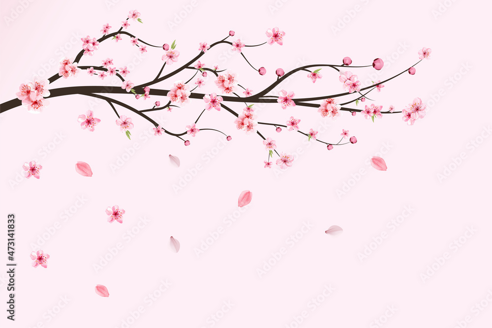 日本樱花矢量。樱花叶飘落。逼真的樱花枝。粉色