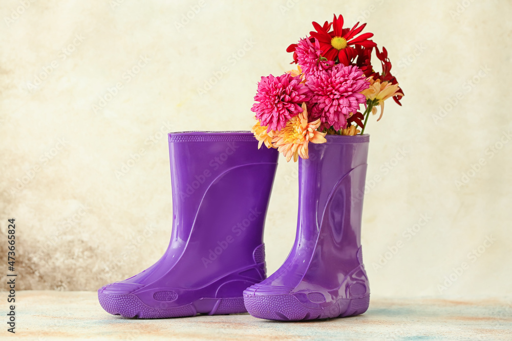 浅色背景上有美丽菊花的橡胶靴