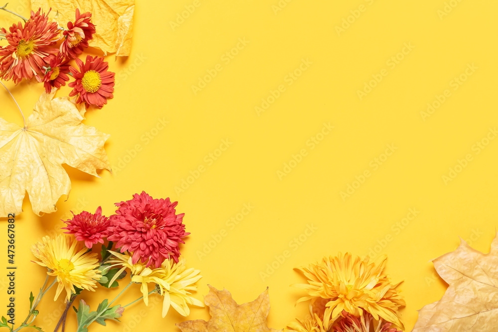 彩色背景上的菊花和秋叶，特写