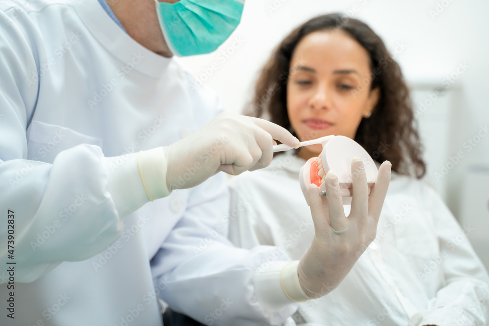 牙医持有牙齿模型义齿和探索者镜子工具，用于向患者展示和解释