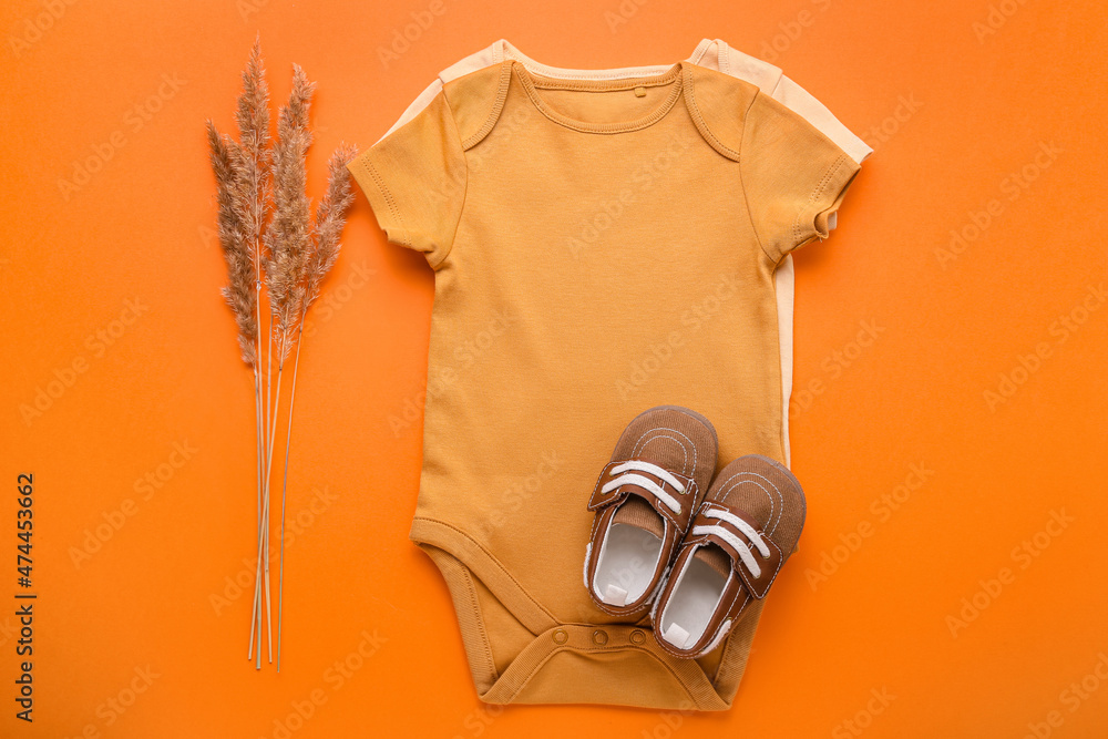 彩色背景的婴儿连体衣、鞋子和潘帕斯草原