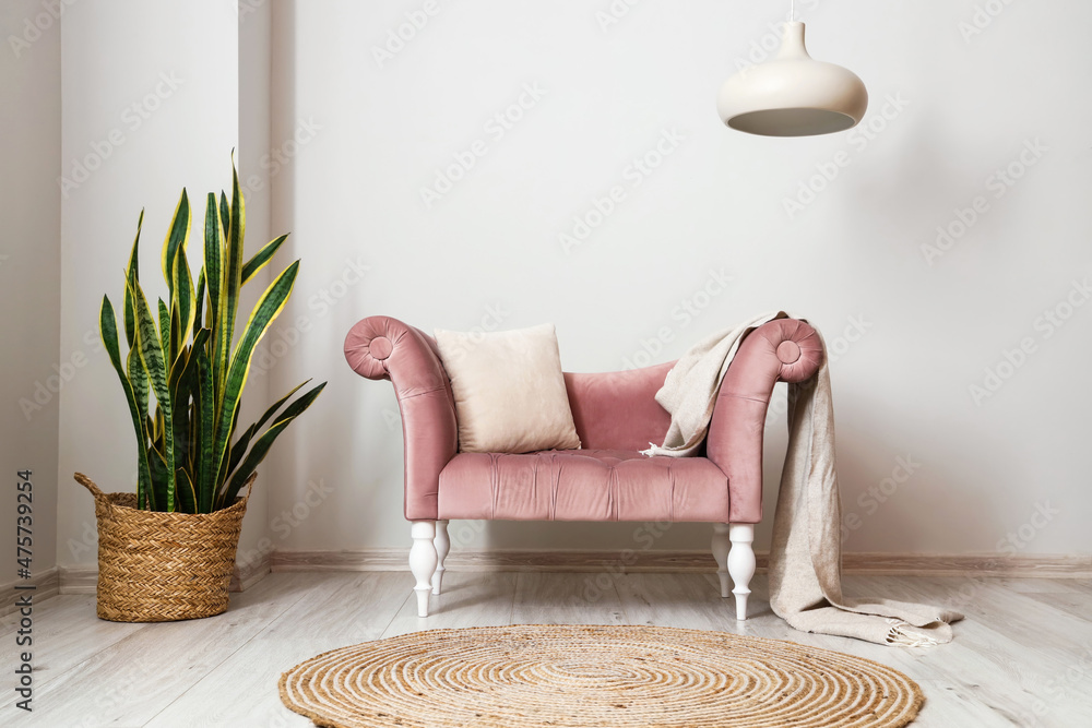 粉色扶手椅，带格子和室内植物，靠近浅色墙壁