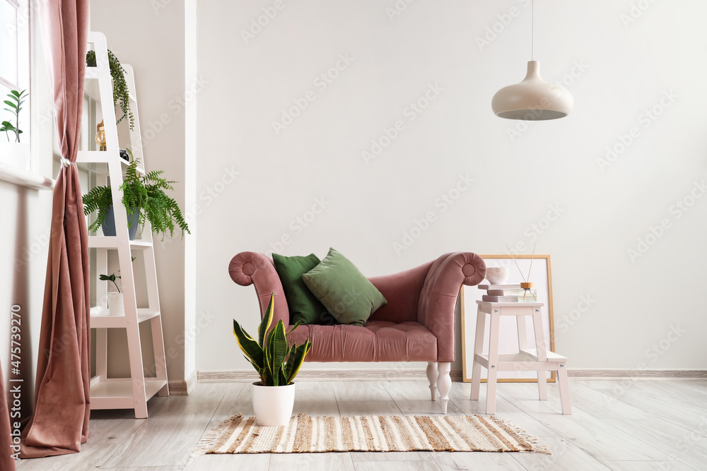 粉色扶手椅和搁架单元，靠近浅色墙壁的室内植物