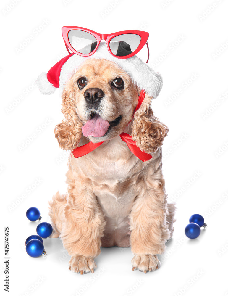 可爱的小狗，戴着圣诞老人帽，戴着太阳镜，白色背景的圣诞球