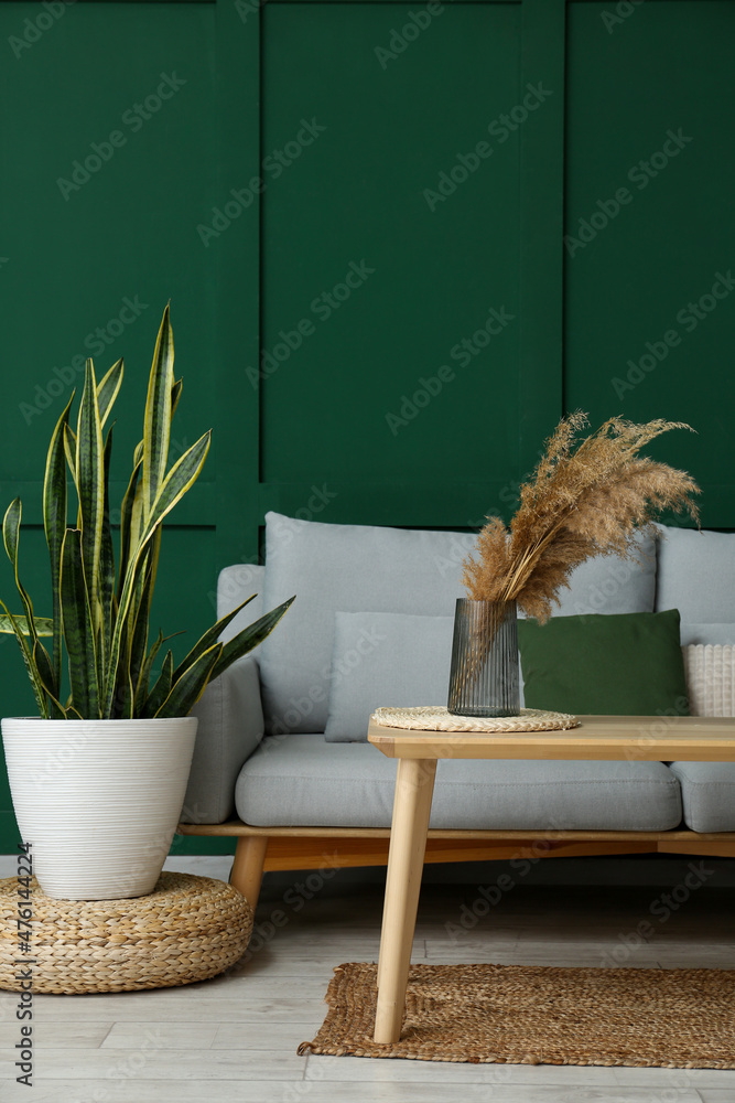 带沙发、桌子和室内植物的时尚客厅内部