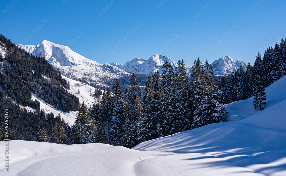 Idyllic snow-covered alpine landscape, Pinzgau, Salzburger Land, Austria