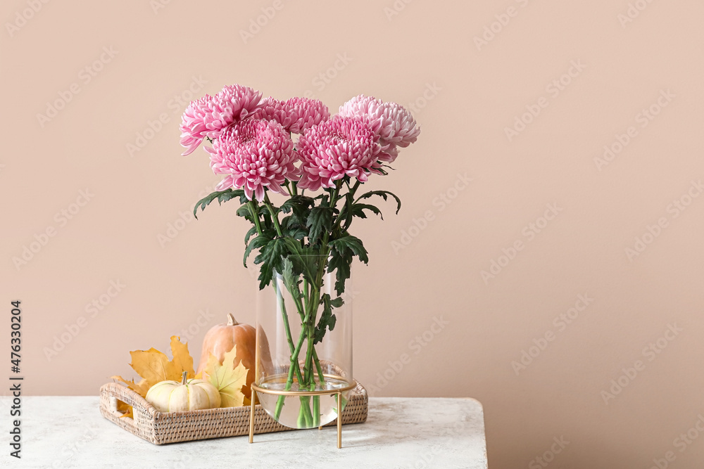 彩色背景下桌子上放着菊花和南瓜的花瓶