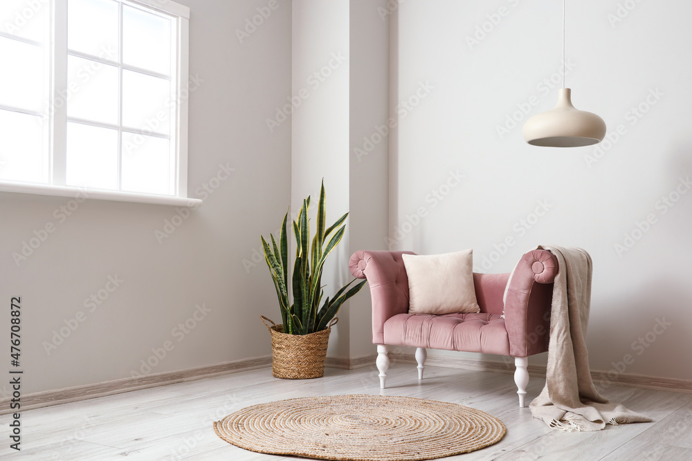 浅色墙壁附近有格子和室内植物的粉色扶手椅